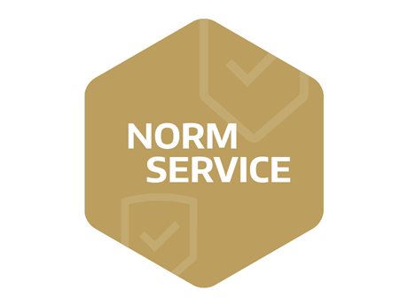 Norm Service
